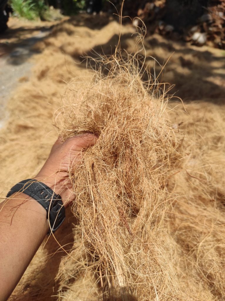 img 20250817 112847 min