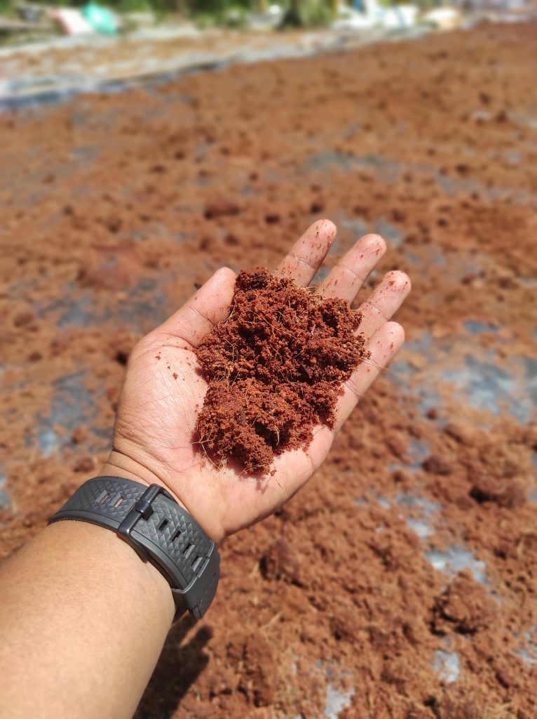 img 20250817 113727 min